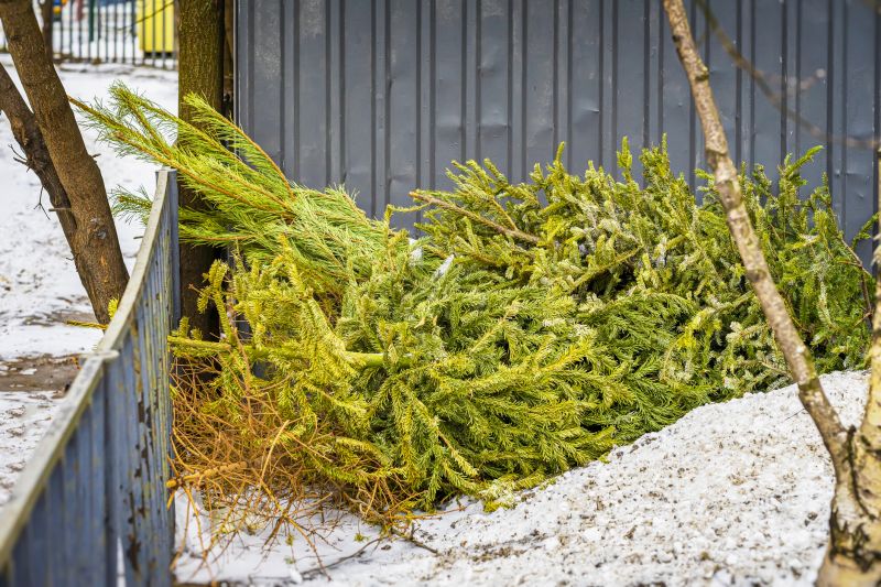 Pine Straw Clearing