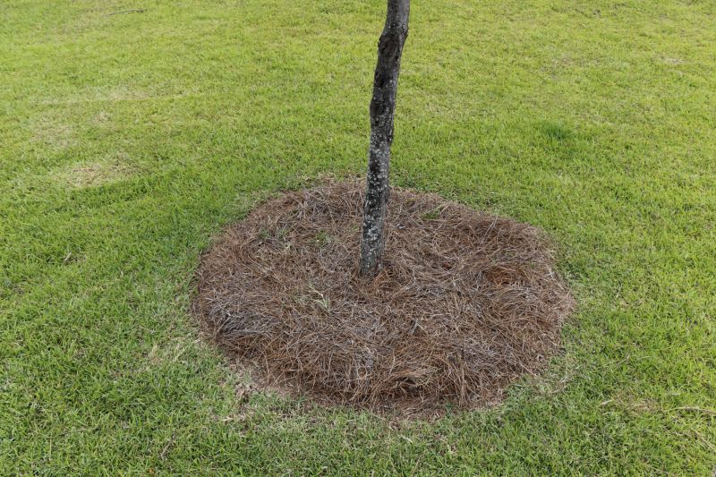 Pine Straw Raking