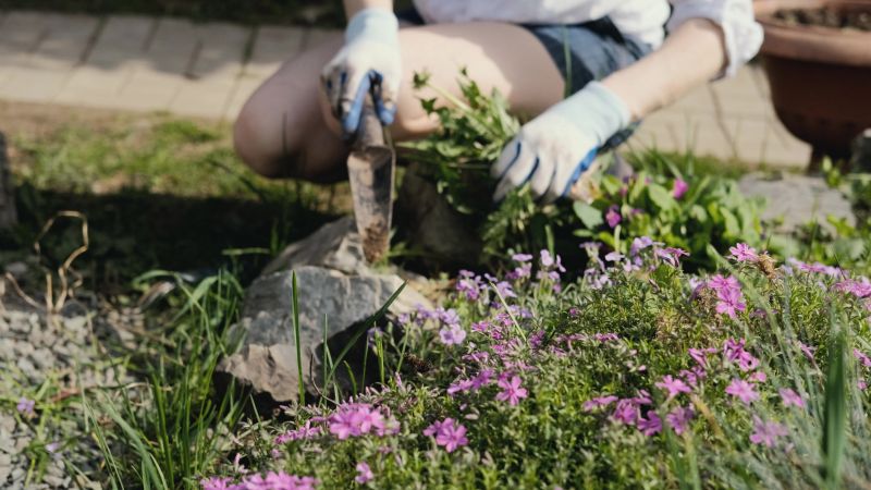 Rock Bed Weeding