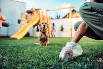 Spring Lawn Cleanup