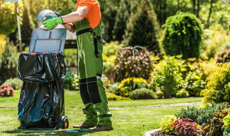 Spring Yard Cleanup