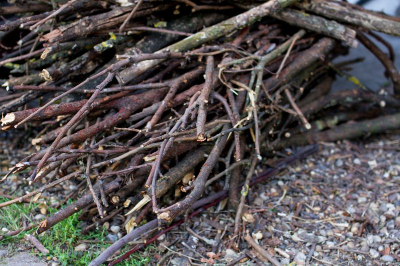 Tree Branch Disposal