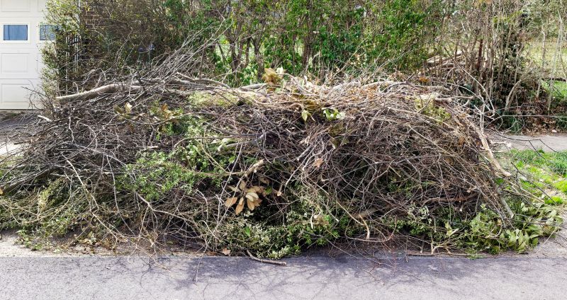 Tree Debris Removal
