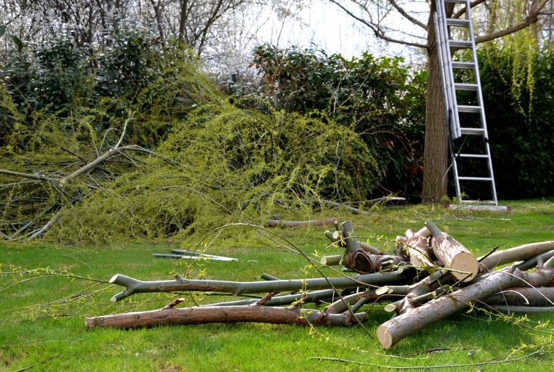 Tree Debris Removal