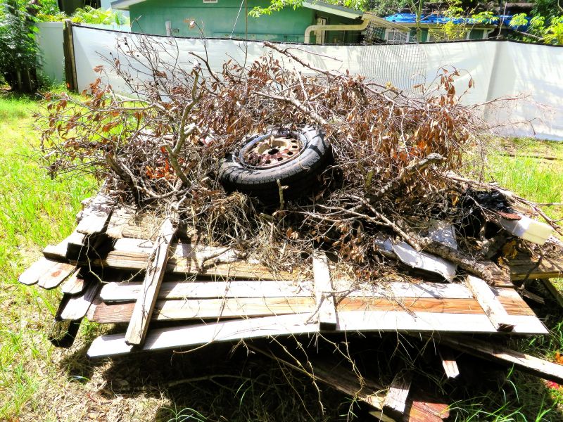 Tumbleweed Removal