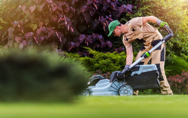Lawn Maintenance Crew