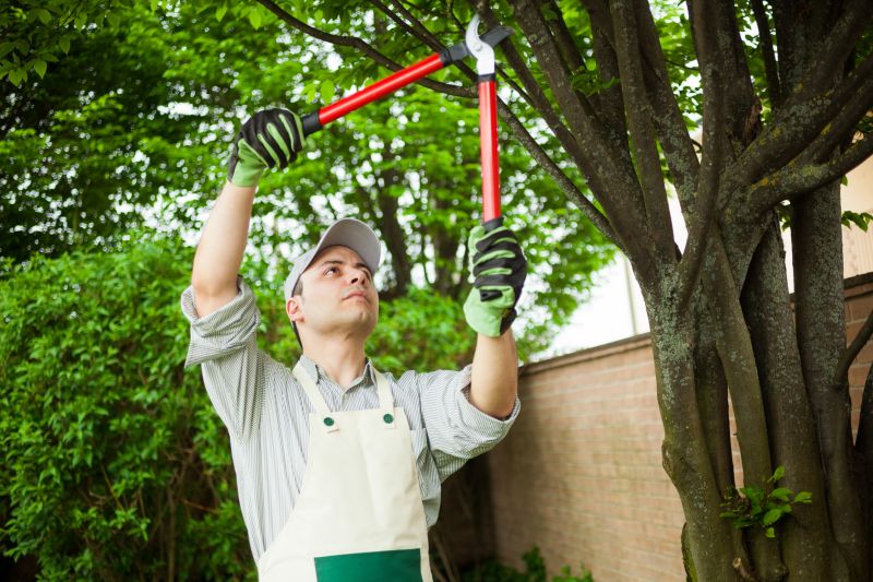 Tree and Shrub Trimmers