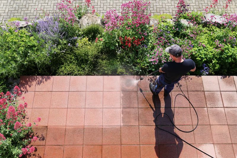 Hardscape Cleaners