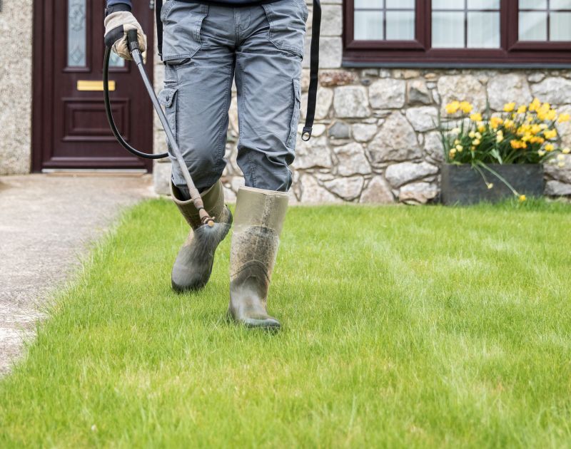 Yard Cleaning