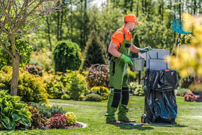Yard Cleaning