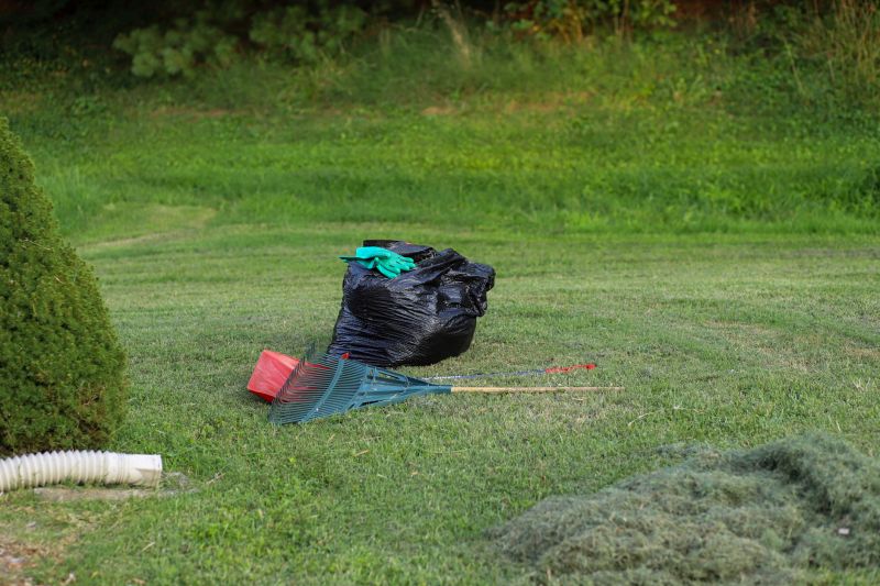 Yard Debris Removal