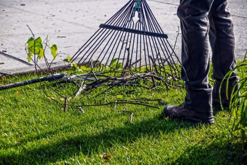 Yard Raking