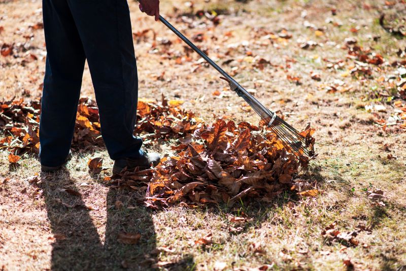 Yard Raking