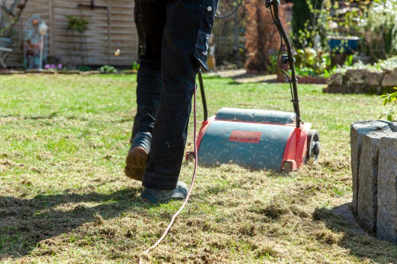 Yard Raking